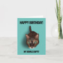 Search for bengal cat birthday cards Kitten