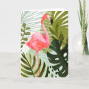Search for flamingo cards Birds