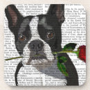 Search for boston coasters Terriers