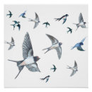 Search for ornithologist posters Bird lover