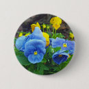 Search for yellow pansy badges Pansies
