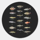 Search for freshwater stickers Biology