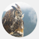 Search for owl stickers Photograph