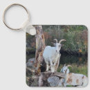 Search for goat key rings Farm