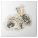 Search for rabbit tiles Woodland animal