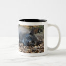 Search for grey white cat mugs Kitty