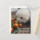 Search for happiness vertical postcards Flowers
