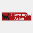 Search for asian bumper stickers Cat