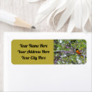 Search for male return address labels Bird
