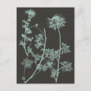 Search for botanical study vertical postcards Grey