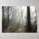 Search for misty trees posters Landscape
