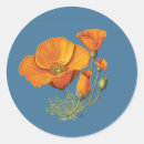 Search for california poppies stickers Poppy