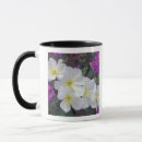 Search for borrego mugs Blossom