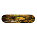 Search for falls skateboards Rock