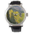 Search for deciduous forest accessories Autumn