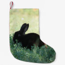 Search for photography christmas stockings Cute