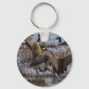 Search for canadian goose key rings Nature