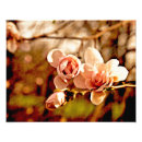 Search for chartreuse posters Floral