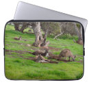 Search for kangaroo electronics Aussie