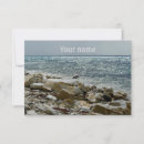 Search for seagull cards Water