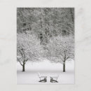 Search for freezing postcards Landscape