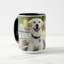 Search for lay mugs Cute