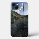 Search for desert plants iphone cases Arizona