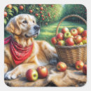 Search for apple orchard stickers Fruit