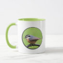 Search for red breasted mugs Nuthatch