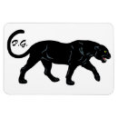 Search for black panther magnets Leopard