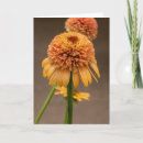 Search for comfortable note cards Support