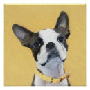 Search for black and white bull art Terrier