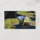 Search for water lily business cards Pond