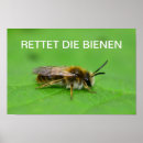 Search for tier posters Natur