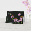 Search for coneflower cards Bee