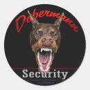 Search for k 9 labels Pets