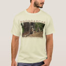 Search for ringtailed Lemurs
