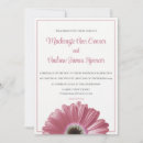 Search for pink gerbera Trendy