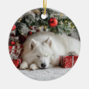 Search for samoyed christmas tree decorations Pet