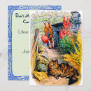 Search for beatrix potter cats Rabbit