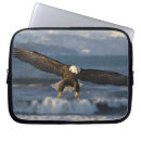 Search for prey electronics Flying