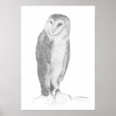 Search for barn owl art Animal