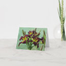 Search for hemerocallis cards Photography