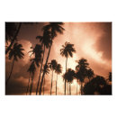 Search for ambergris posters Belise