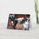 Search for pup christmas cards Funny
