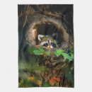 Search for raccoon tea towels Forest