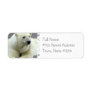 Search for polar bears return address labels Animal