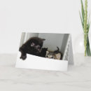 Search for escapes cards Cute