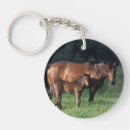 Search for mare key rings Bob langrish