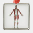 Search for musculoskeletal posters Human body part